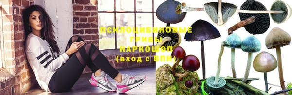 не бодяженный Алексин